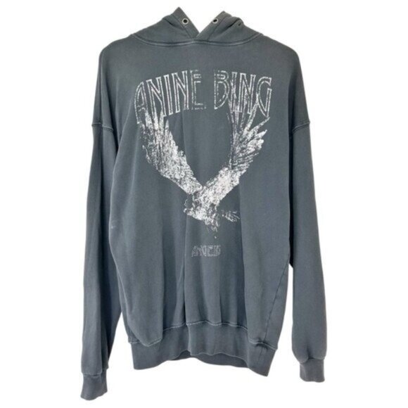 Anine Bing Rowe Eagle Ash Gray Oversized Pullover Hoodie Sweatshirt Size XS - Picture 2 of 13